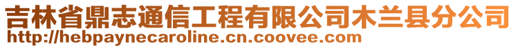 吉林省鼎志通信工程有限公司木兰县分公司