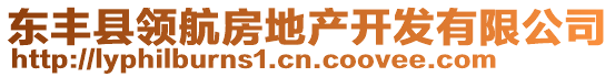 東豐縣領(lǐng)航房地產(chǎn)開發(fā)有限公司