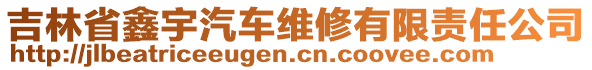 吉林省鑫宇汽車維修有限責任公司