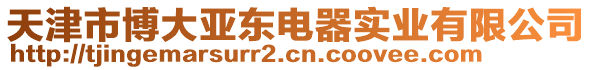 天津市博大亞東電器實(shí)業(yè)有限公司