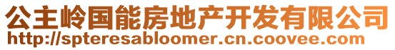 公主嶺國能房地產開發有限公司