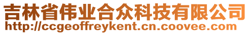 吉林省偉業(yè)合眾科技有限公司