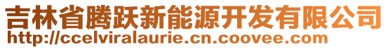 吉林省騰躍新能源開發(fā)有限公司
