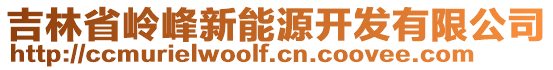 吉林省嶺峰新能源開發(fā)有限公司