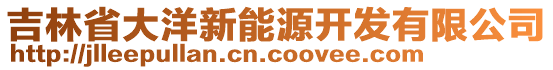 吉林省大洋新能源開發(fā)有限公司