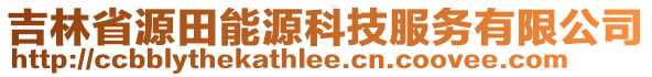 吉林省源田能源科技服務(wù)有限公司