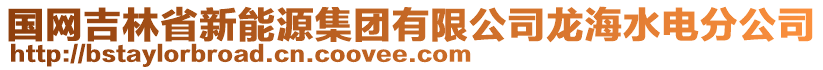 国网吉林省新能源集团有限公司龙海水电分公司