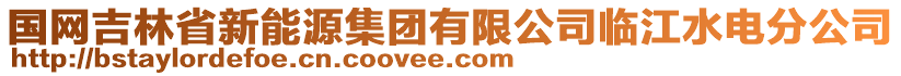 国网吉林省新能源集团有限公司临江水电分公司