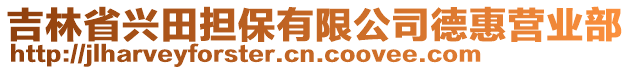 吉林省興田擔(dān)保有限公司德惠營業(yè)部