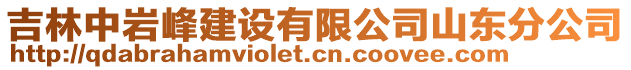 吉林中巖峰建設(shè)有限公司山東分公司