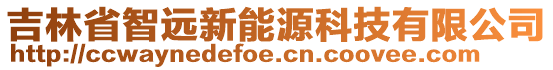 吉林省智遠(yuǎn)新能源科技有限公司