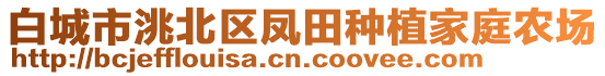 白城市洮北區(qū)鳳田種植家庭農(nóng)場