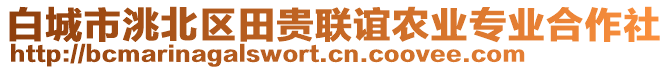 白城市洮北區(qū)田貴聯(lián)誼農(nóng)業(yè)專業(yè)合作社