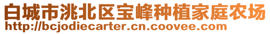 白城市洮北區(qū)寶峰種植家庭農(nóng)場(chǎng)