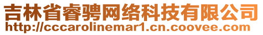 吉林省睿騁網(wǎng)絡(luò)科技有限公司