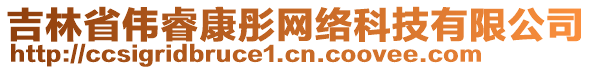 吉林省偉?？低W(wǎng)絡(luò)科技有限公司