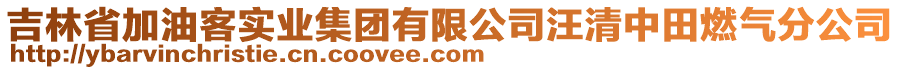 吉林省加油客實(shí)業(yè)集團(tuán)有限公司汪清中田燃?xì)夥止? style=