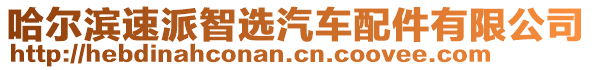 哈爾濱速派智選汽車配件有限公司