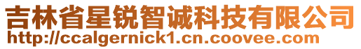 吉林省星銳智誠科技有限公司