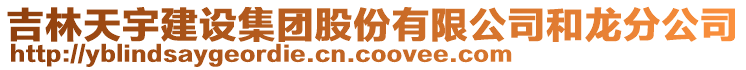 吉林天宇建設集團股份有限公司和龍分公司