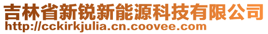 吉林省新銳新能源科技有限公司