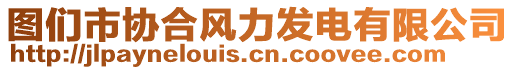 圖們市協(xié)合風(fēng)力發(fā)電有限公司