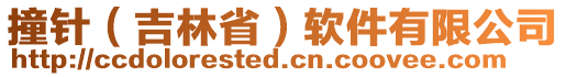 撞針（吉林省）軟件有限公司