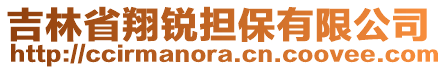 吉林省翔銳擔(dān)保有限公司