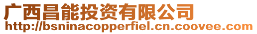 廣西昌能投資有限公司