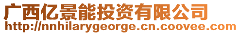 廣西億景能投資有限公司