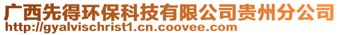 廣西先得環(huán)保科技有限公司貴州分公司