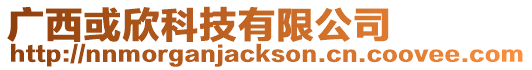 廣西或欣科技有限公司
