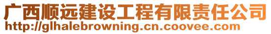 廣西順遠建設工程有限責任公司