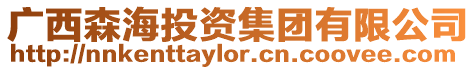 廣西森海投資集團(tuán)有限公司