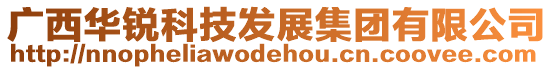 廣西華銳科技發展集團有限公司
