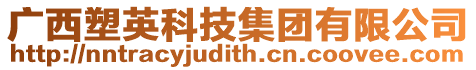 廣西塑英科技集團(tuán)有限公司