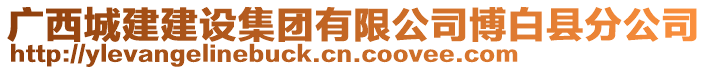 廣西城建建設集團有限公司博白縣分公司