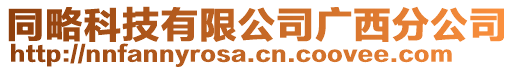 同略科技有限公司廣西分公司