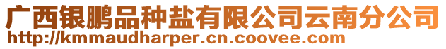 廣西銀鵬品種鹽有限公司云南分公司