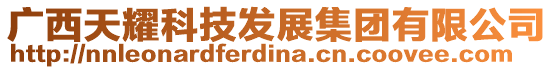 廣西天耀科技發(fā)展集團有限公司