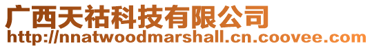 廣西天祜科技有限公司