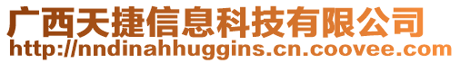 廣西天捷信息科技有限公司