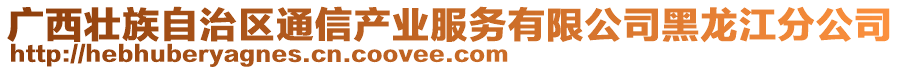 廣西壯族自治區(qū)通信產(chǎn)業(yè)服務(wù)有限公司黑龍江分公司