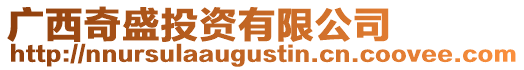 廣西奇盛投資有限公司