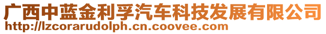 廣西中藍(lán)金利孚汽車科技發(fā)展有限公司