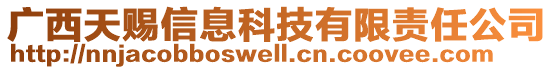 廣西天賜信息科技有限責(zé)任公司