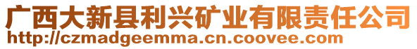 廣西大新縣利興礦業(yè)有限責(zé)任公司