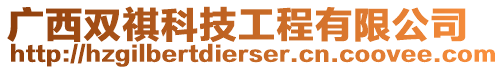 廣西雙祺科技工程有限公司