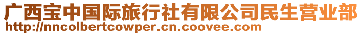 廣西寶中國(guó)際旅行社有限公司民生營(yíng)業(yè)部