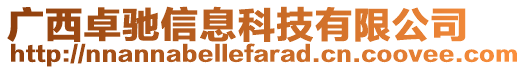 廣西卓馳信息科技有限公司